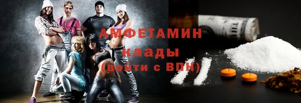 шишки Пестово