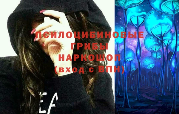 шишки Пестово
