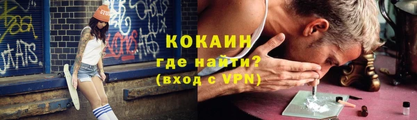 шишки Пестово